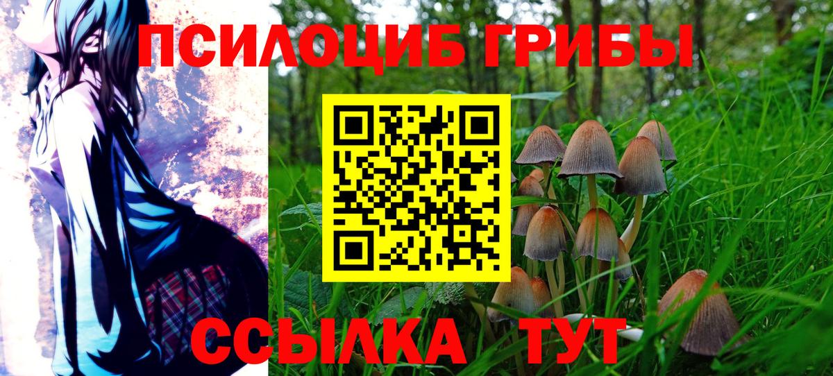 Галлюциногенные грибы GOLDEN TEACHER  Вход с VPN  Фролово  Псилоцибиновые грибы Cubensis 