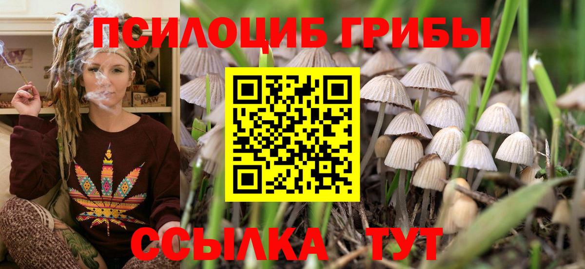 Галлюциногенные грибы ЛСД Фролово